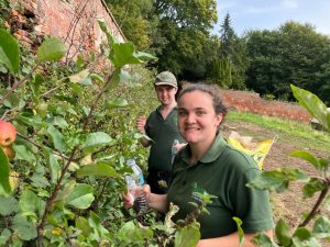 Volunteers hard at work in the garden.