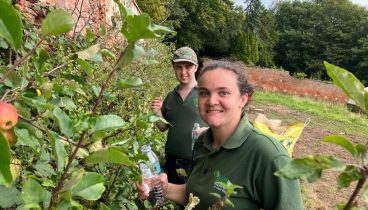 Volunteers hard at work in the garden.