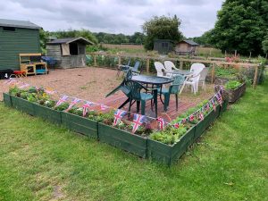 The allotment at Whitley.